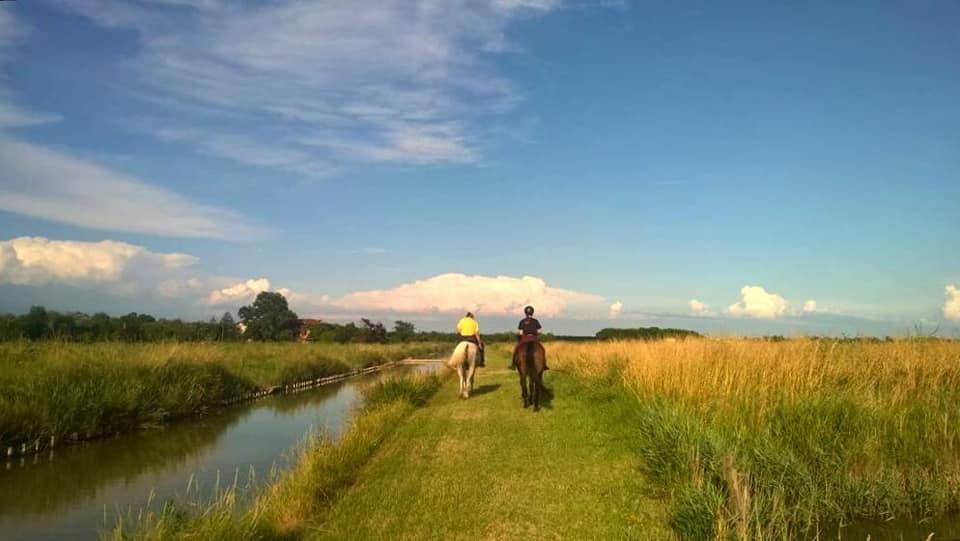 Passeggiata a cavallo